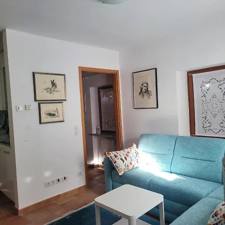 Apartma Modro Gnezdo *