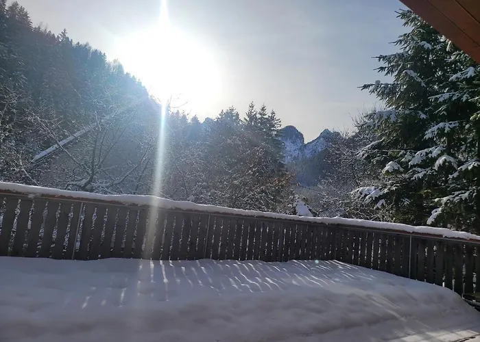 Apartma Modro Gnezdo Kranjska Gora