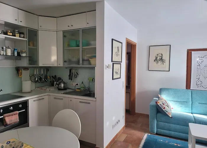 شقة Apartma Modro Gnezdo كْرانْيِسكا غورا